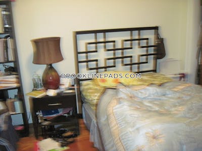 Brookline Apartment for rent 1 Bedroom 1 Bath  Washington Square - $2,690 No Fee