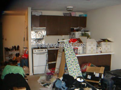 Cambridge Apartment for rent Studio 1 Bath  Mt. Auburn/brattle/ Fresh Pond - $2,200 No Fee