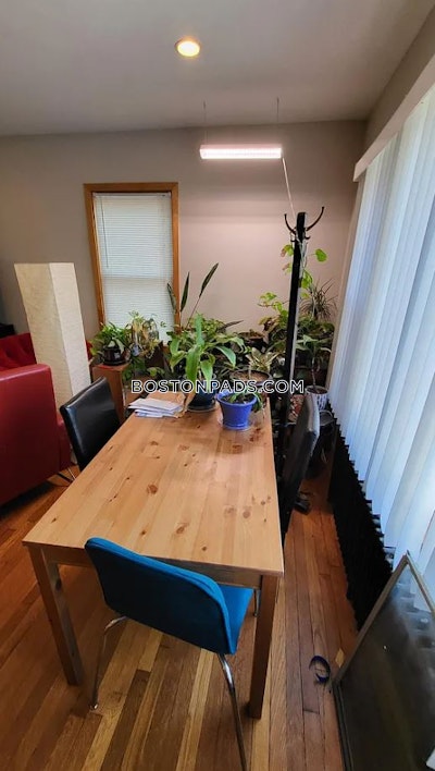 Cambridge 2 Bed 1 Bath CAMBRIDGE  Central Square/cambridgeport - $3,800