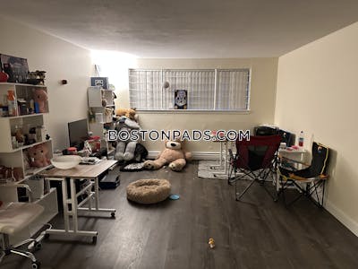 Allston/brighton Border 1 Bed 1 Bath Boston - $2,300 No Fee