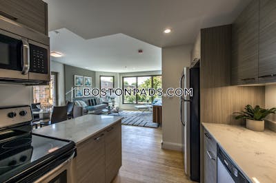 Allston 2 Beds 2 Baths Boston - $4,200 No Fee