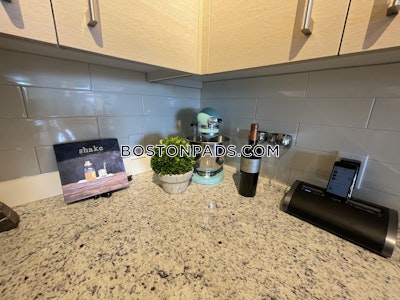 Chinatown 1 Bed 1 Bath BOSTON Boston - $3,622