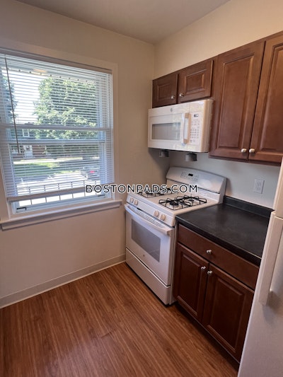East Boston 1 Bed 1 Bath Boston - $2,451