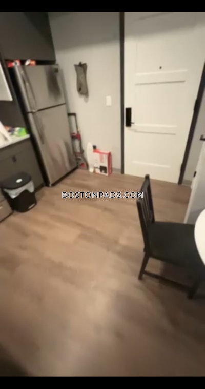 Northeastern/symphony 2 Bed 1 Bath BOSTON Boston - $4,500 No Fee