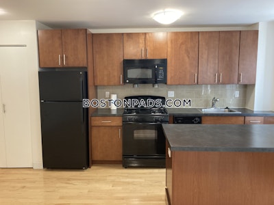 Brighton 1 Bed 1 Bath Boston - $2,950 No Fee