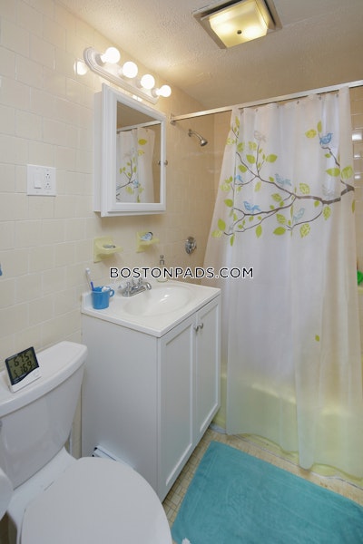 Allston 0 Bed 1 Bath BOSTON Boston - $1,950
