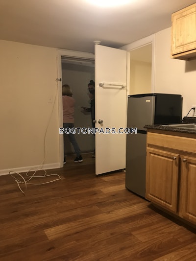 Jamaica Plain 0 Bed 1 Bath BOSTON Boston - $1,725 No Fee