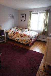 Brighton 2 Bed 1 Bath BOSTON Boston - $2,795