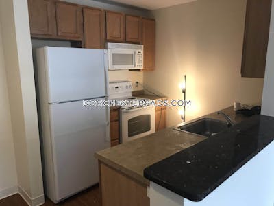 Dorchester Apartment for rent 2 Bedrooms 2 Baths Boston - $7,822 No Fee