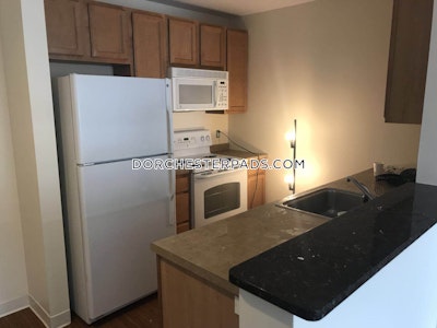 Dorchester Apartment for rent 2 Bedrooms 2 Baths Boston - $7,822 No Fee