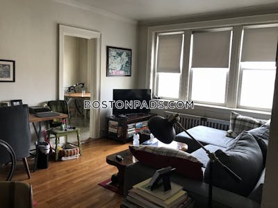 Brighton Apartment for rent 1 Bedroom 1 Bath Boston - $2,395 No Fee