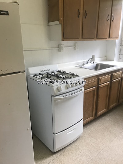 Brighton Apartment for rent 1 Bedroom 1 Bath Boston - $2,445 No Fee