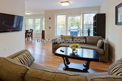 Cambridge Apartment for rent 2 Bedrooms 2 Baths  Mt. Auburn/brattle/ Fresh Pond - $4,400 No Fee