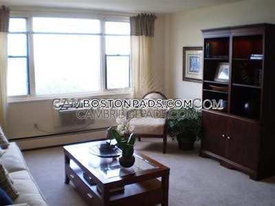 Cambridge Apartment for rent 3 Bedrooms 1.5 Baths Mt. Auburn/brattle/ Fresh Pond - $4,364