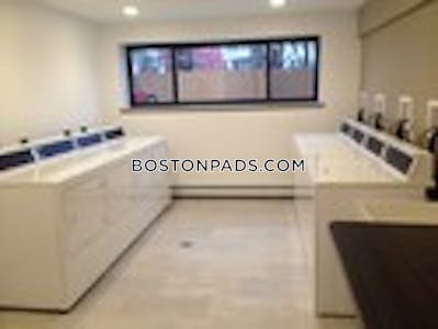 Cambridge Apartment for rent 1 Bedroom 1 Bath  Mt. Auburn/brattle/ Fresh Pond - $2,350 No Fee