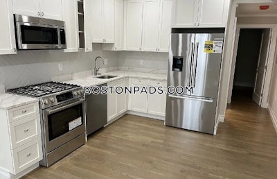 Brighton Apartment for rent 3 Bedrooms 2 Baths Boston - $5,000 No Fee