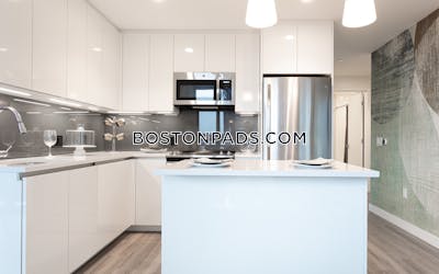 West End Apartment for rent 2 Bedrooms 2 Baths Boston - $10,983