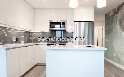 West End Apartment for rent 2 Bedrooms 2 Baths Boston - $11,277