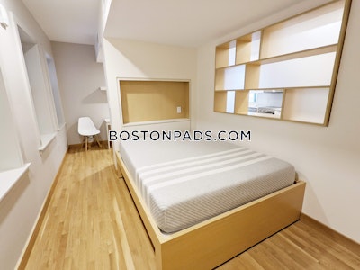 Cambridge Studio 1 Bath  Harvard Square - $3,900
