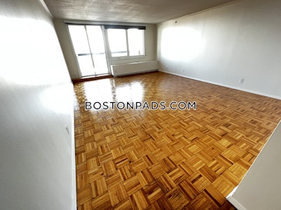 West End Apartment for rent 1 Bedroom 1 Bath Boston - $4,290