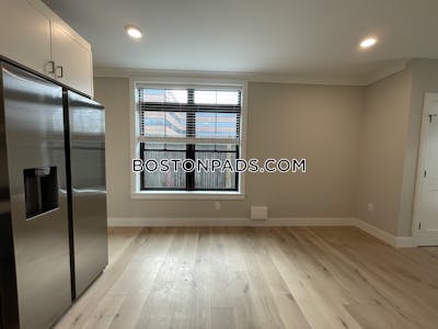 Allston Apartment for rent 2 Bedrooms 2 Baths Boston - $4,100 No Fee