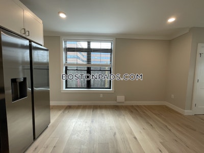 Allston Apartment for rent 2 Bedrooms 2 Baths Boston - $4,100 No Fee