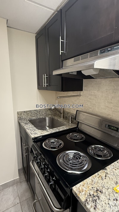 Chinatown Apartment for rent Studio 1 Bath Boston - $2,525 No Fee