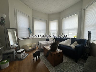 Allston/brighton Border Apartment for rent 2 Bedrooms 1 Bath Boston - $2,450 No Fee