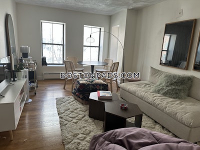 South End Apartment for rent 3 Bedrooms 1 Bath Boston - $5,195