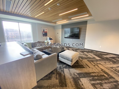 Allston Apartment for rent 2 Bedrooms 1 Bath Boston - $4,990