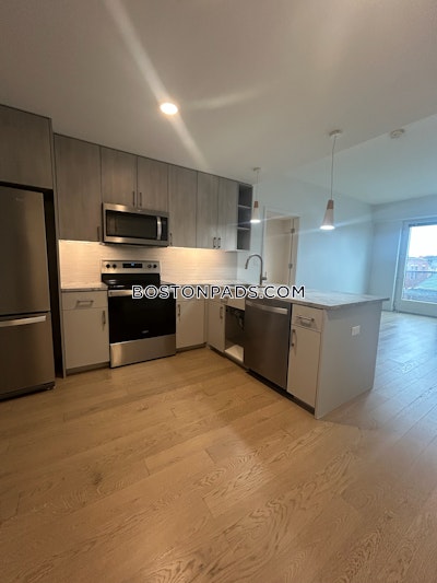 Allston Apartment for rent 2 Bedrooms 2 Baths Boston - $5,000 No Fee