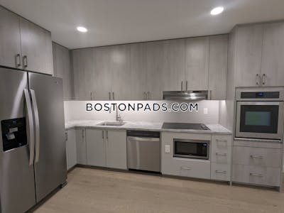 Allston Apartment for rent 1 Bedroom 1 Bath Boston - $3,900 No Fee