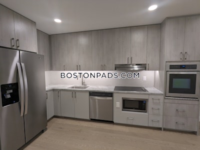 Allston Apartment for rent 1 Bedroom 1 Bath Boston - $3,900 No Fee