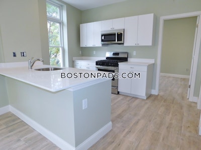 Roxbury Lovely 3 Beds 2 Baths Boston - $3,800