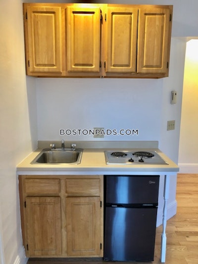 Brookline Apartment for rent Studio 1 Bath  Boston University - $2,095 No Fee