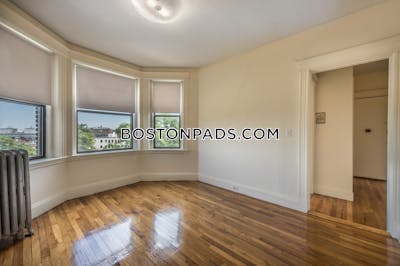 Allston Apartment for rent 1 Bedroom 1 Bath Boston - $2,825