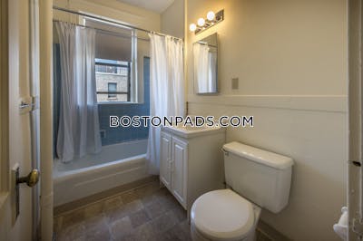 Allston Apartment for rent 1 Bedroom 1 Bath Boston - $2,750