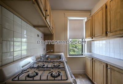 Allston Apartment for rent Studio 1 Bath Boston - $2,050 No Fee