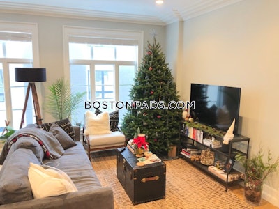 Mission Hill Apartment for rent 1 Bedroom 1 Bath Boston - $2,950