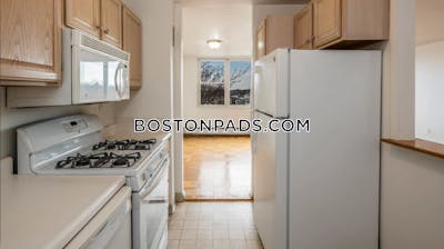 Cambridge Apartment for rent 1 Bedroom 1 Bath  Porter Square - $2,975 No Fee