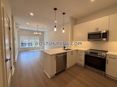 Brighton 1 bedroom 1 baths in BOSTON Boston - $3,250 No Fee