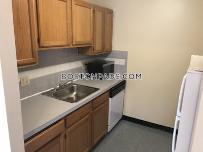 Cambridge Apartment for rent 1 Bedroom 1 Bath  Harvard Square - $2,800