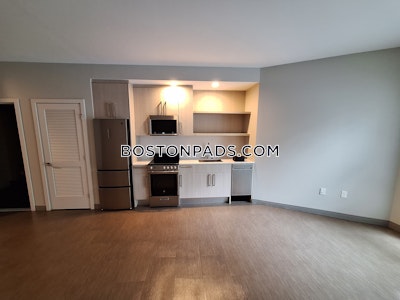 Jamaica Plain Studio  baths Luxury in BOSTON Boston - $3,825