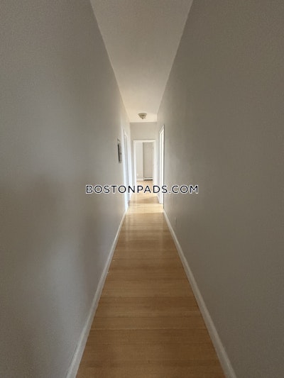 Roxbury Apartment for rent 3 Bedrooms 1 Bath Boston - $2,695 No Fee
