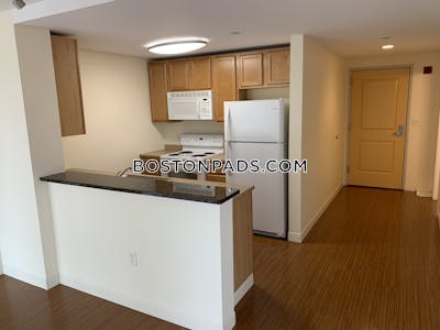 Dorchester Apartment for rent 2 Bedrooms 2 Baths Boston - $3,655 No Fee