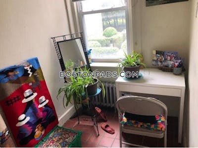 Brighton Apartment for rent 1 Bedroom 1 Bath Boston - $2,565 No Fee