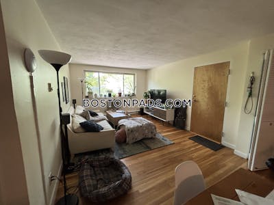 Brighton Nice 2 Bed 1 Bath available on Englewood Ave in Brighton Boston - $3,100 No Fee