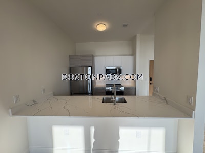 Allston 2 bedroom 2 baths in BOSTON Boston - $4,750 No Fee