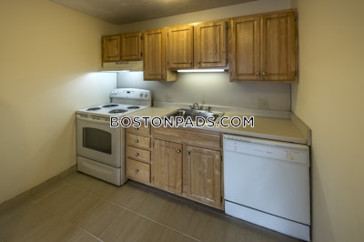 Allston Apartment for rent 1 Bedroom 1 Bath Boston - $3,350 No Fee