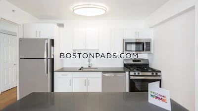 West End Apartment for rent Studio 1 Bath Boston - $2,945